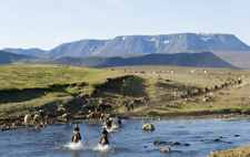 Iceland-Highland Tours-Kjolur Ride - Between the Glaciers